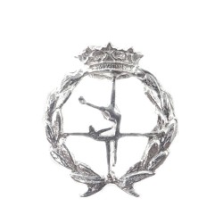 Insignia profesional Ciencias de la Actividad Física y del Deporte plata Ley 925m 16 mm.