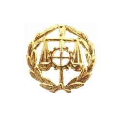 Insignia profesional Graduado Social escudo plata 925m Ley 16 mm. pin chapado oro cierre trasero latón
