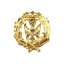 Insignia profesional Enfermería escudo plata 925m Ley 16 mm. pin chapado oro cierre trasero latón dorado