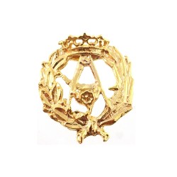 Insignia profesional Arquitectura escudo plata 925m Ley 17 mm. pin chapado oro cierre trasero latón