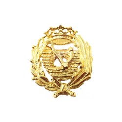 Insignia profesional Ingeniero de Caminos plata 925m Ley 17 mm. pin chapado oro cierre trasero latón