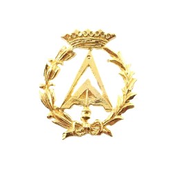 Insignia profesional Aparejador escudo plata 925m Ley 19 mm. pin chapado oro cierre trasero latón