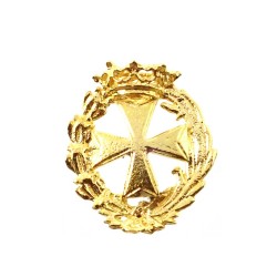 Insignia profesional ATS escudo plata 925m Ley 18 mm. pin chapado oro cierre trasero latón dorado