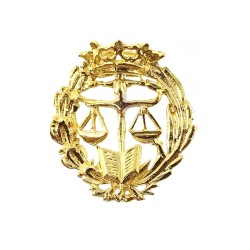 Insignia profesional Derecho escudo plata 925m Ley 18 mm. pin chapado oro cierre trasero latón