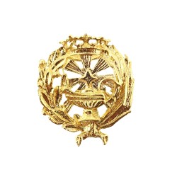 Insignia profesional Ciencias Químicas escudo plata 925m Ley 18 mm. pin chapado oro cierre trasero latón