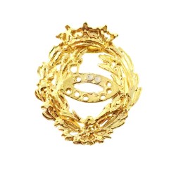 Insignia profesional Ciencias Biológicas escudo plata 925m Ley 17mm. pin chapado oro cierre trasero