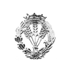 Insignia profesional Ingeniero Agrónomo escudo plata 925m Ley 17 mm. pin cierre trasero latón