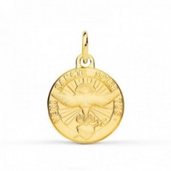 Colgante Oro 9k medalla 14 mm. Espíritu Santo Paloma inscripción latín matizada