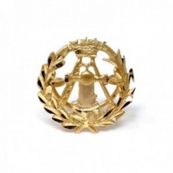 Insignia profesional Topografía oro 18k escudo pin solapa 16mm.